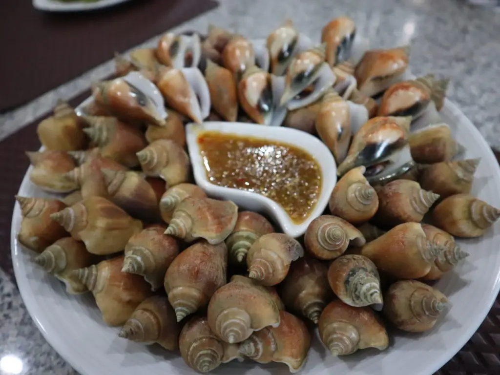 Wing shell Krabi